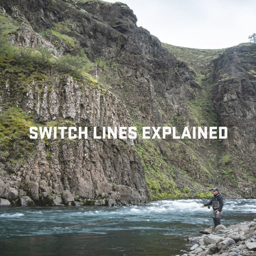 How To choose the right Switch Line