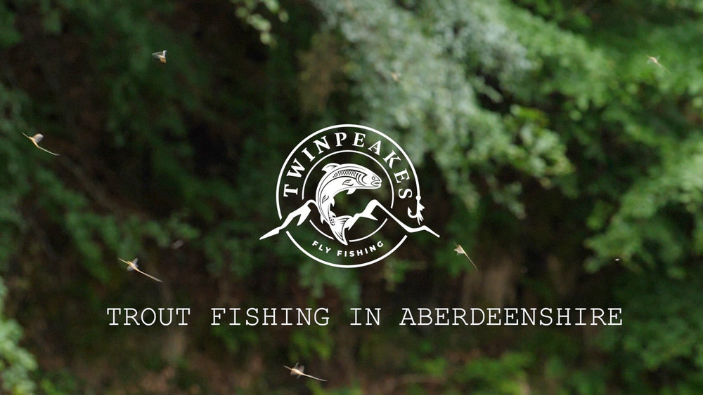 Experience the Wild Beauty of Trout Fishing in Aberdeenshire