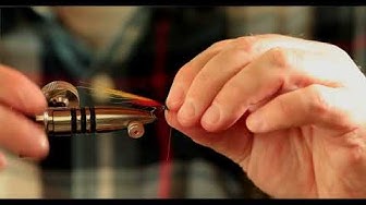 How to Tie the Park Shrimp Salmon Fly