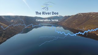 Nutrient Restoration Trial Dee District Salmon Fishery Board