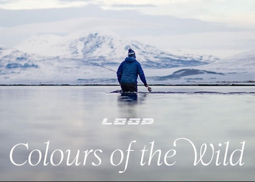 Colours of the Wild - LOOP Reel Collection