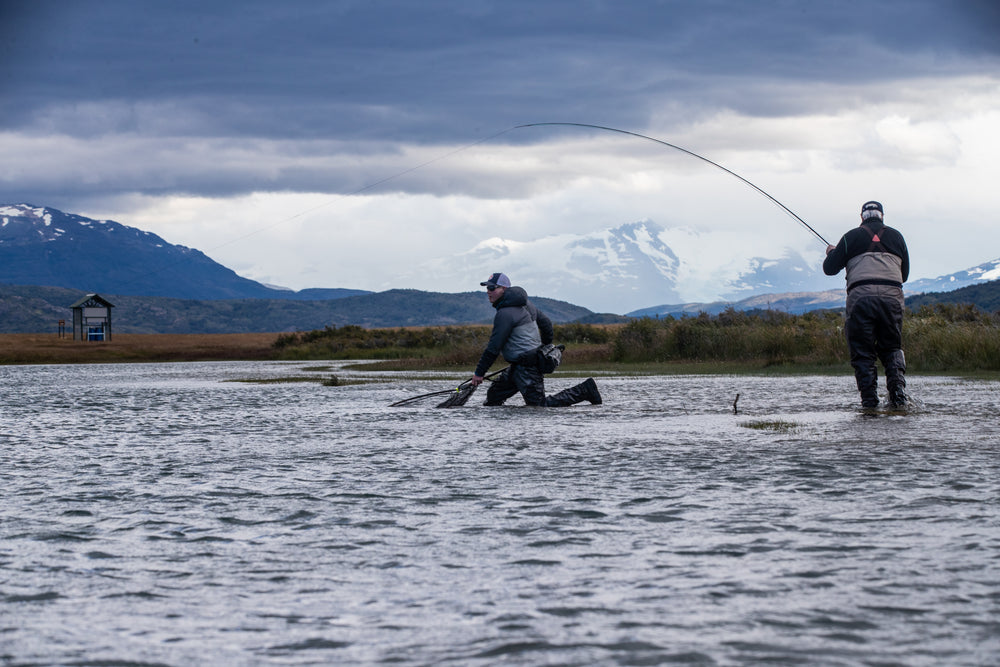 Tips and Polyleaders