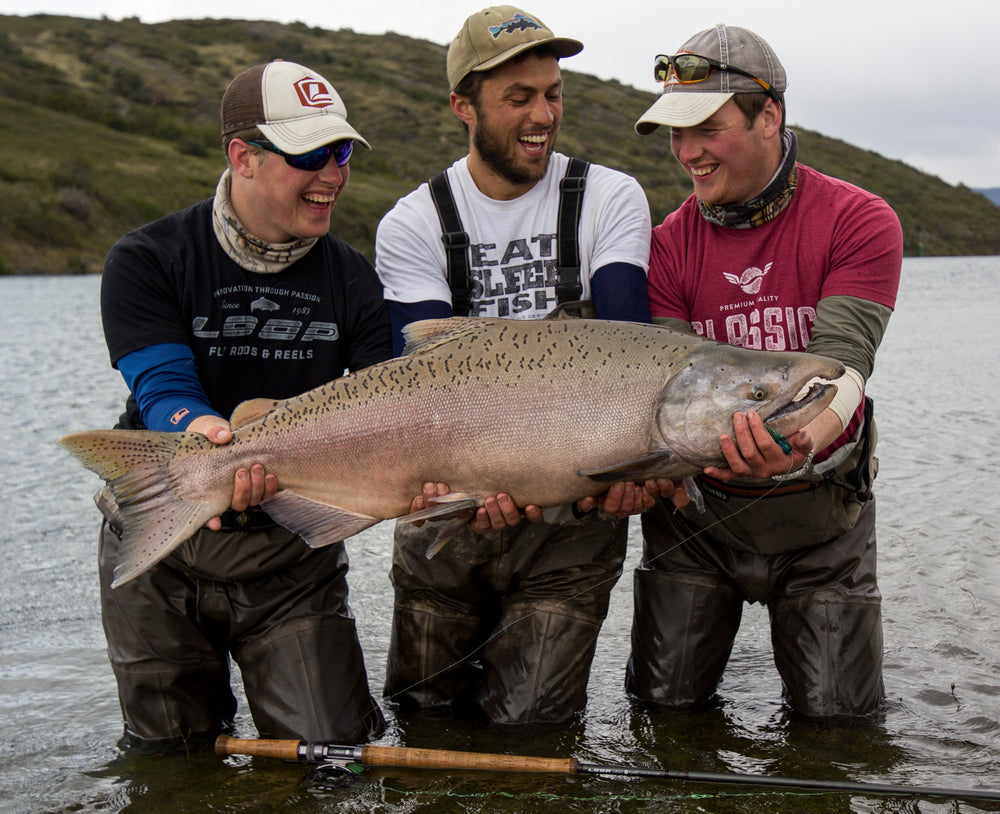 Mens Shirts and T-Shirts