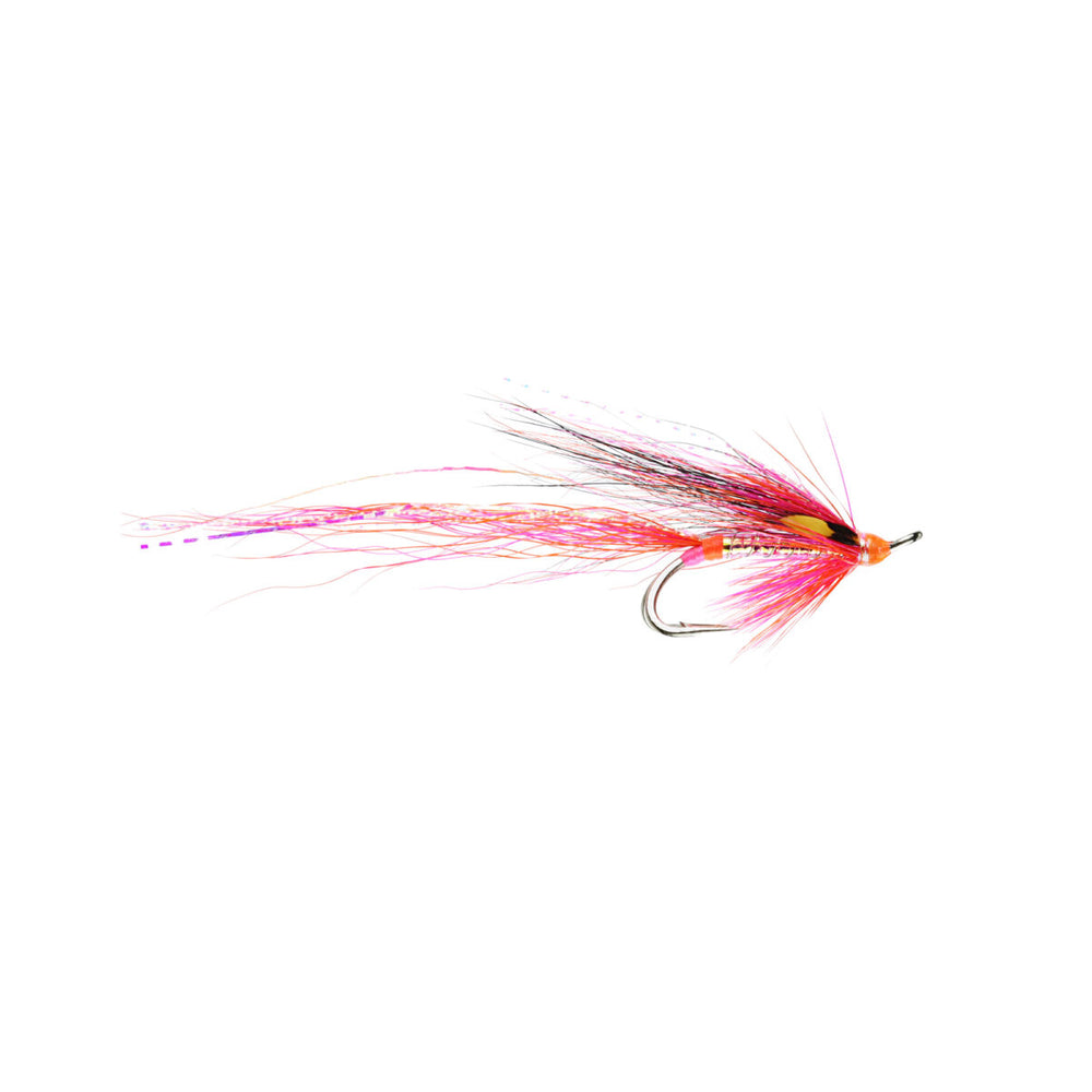 Caledonia Lady Meikleour P Double 10 Guide Flyfishing