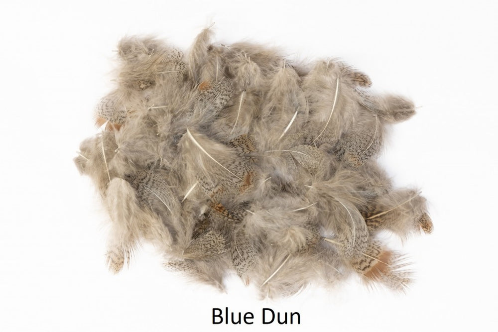 English Partridge Grey Neck Veniards Blue Dun