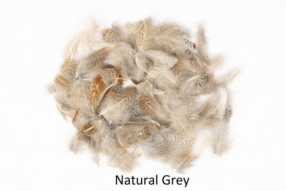 English Partridge Grey Neck Veniards Natural Grey