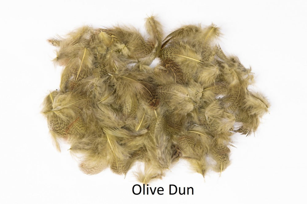 English Partridge Grey Neck Veniards Olive Dun