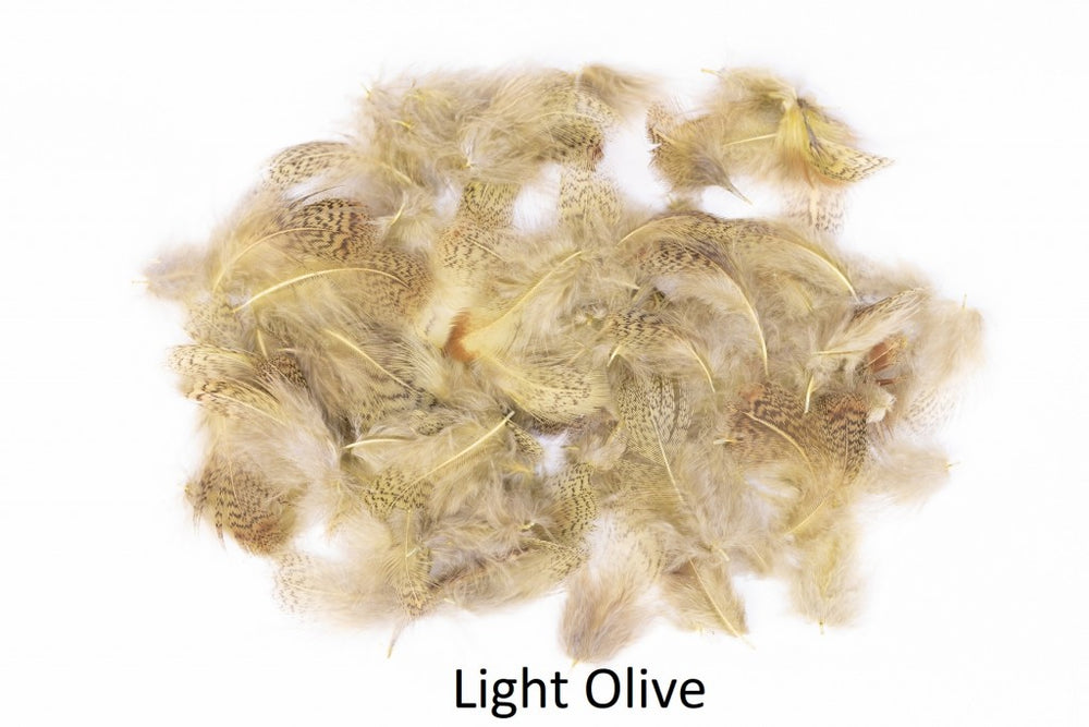 English Partridge Grey Neck Veniards Light Olive