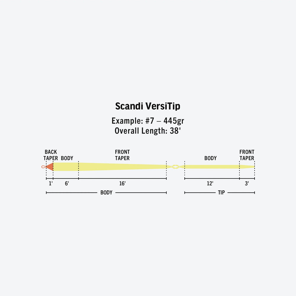 RIO Scandi Versitip Kit Guide Flyfishing