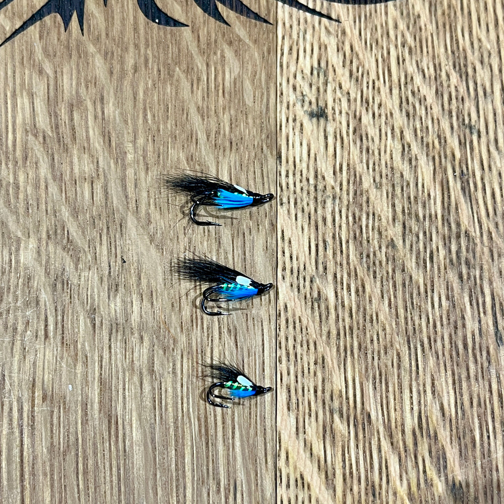 The Editor flies Shadow Flies   