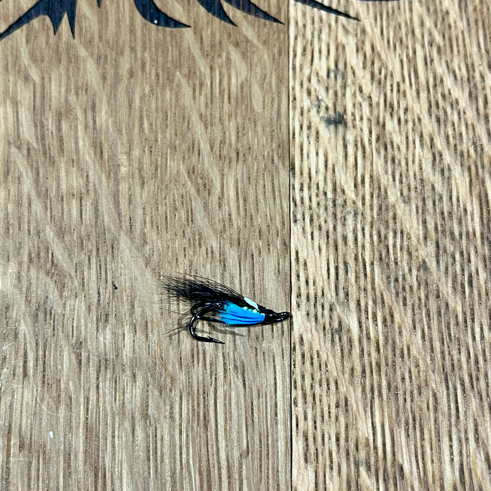 The Editor flies Shadow Flies 12  