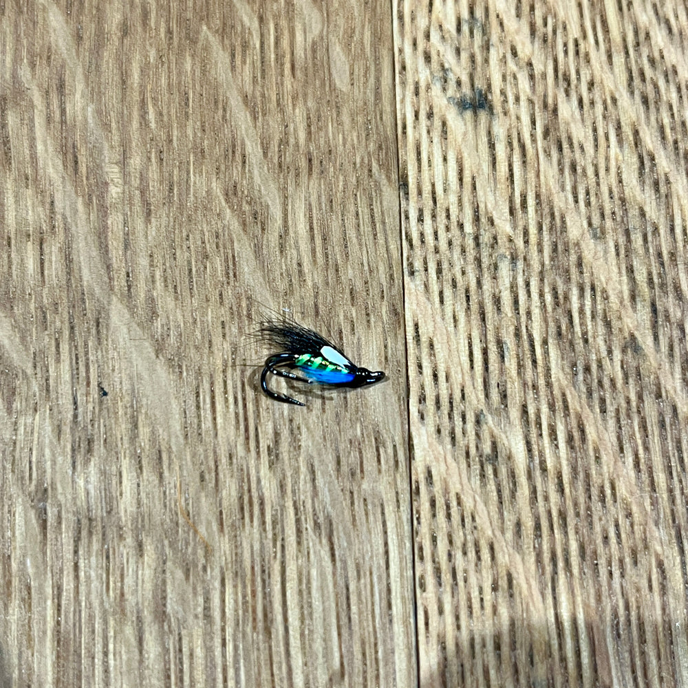 The Editor flies Shadow Flies 14  