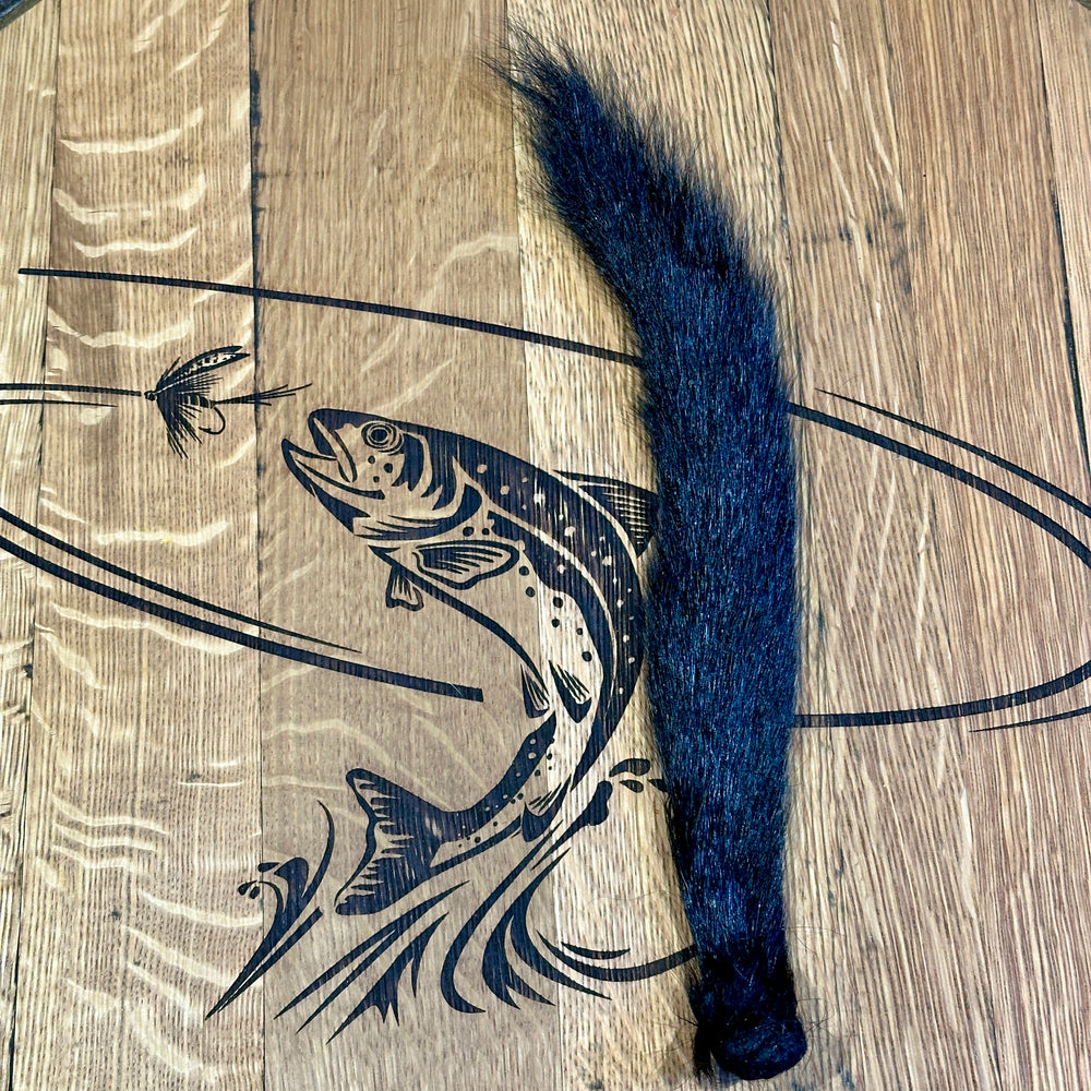 Veniard Fox Squirrel  Veniards   