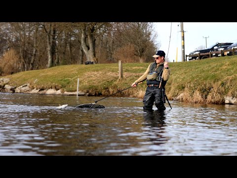 Salmon Gye net 22" net Fastnet Developments