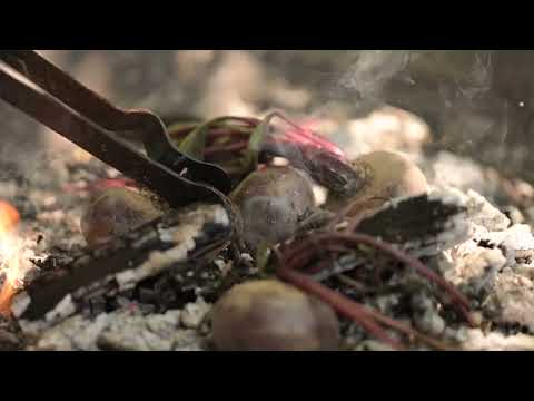 
            
                Load and play video in Gallery viewer, Cooking with Kadai (Cookbook) fire pit accessory kadai
            
        