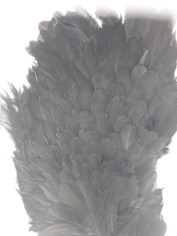 Franc N Snaelda - Genetic Hen Saddle  Franc N Snaelda Black  